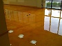 Novi MI elite_crete_pt1_epoxy_reflector_enhancer_interior_flooring__13_